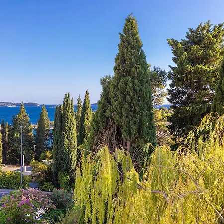 Family Close To The *