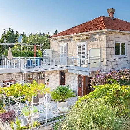 Family Close To The Apartment *